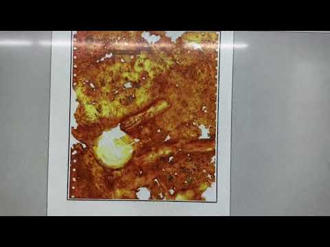 Black Ghost 1970 Dodge Challenger RT/SE 426 Hemi has a Wise Elite Level Validation Report.