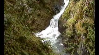 preview picture of video 'Little Qualicum Falls, BC'