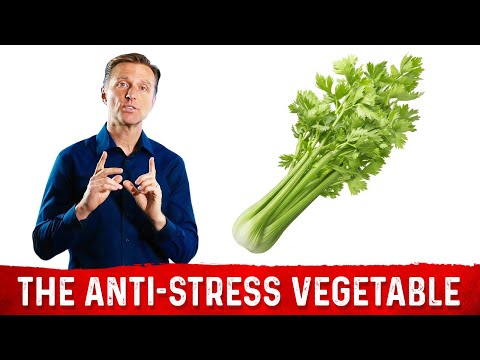 Do You Have Copper Toxicity