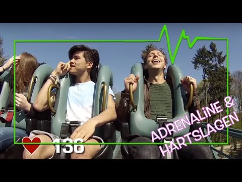 WAT DOET JE HART IN DE ACHTBAAN? - TOPDOKS ONDERZOEK