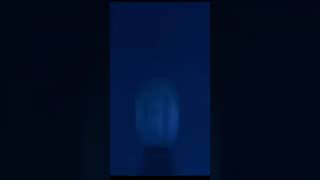 Lord of Illusions: The Horror of Magic