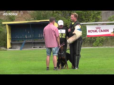 FCI NM IPO 2014 Tom Thoresen - Safir v SchutzArt - C