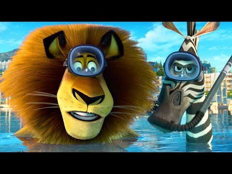 DreamWorks Madagascar en Español Latino | Alex y Marty Mejores Momentos | Dibujos Animados