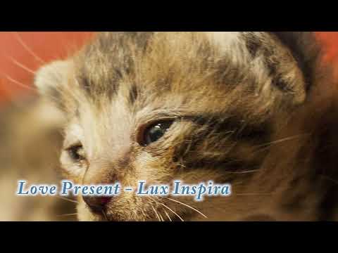 Love Present  -  Lux Inspira. Cinematic Music