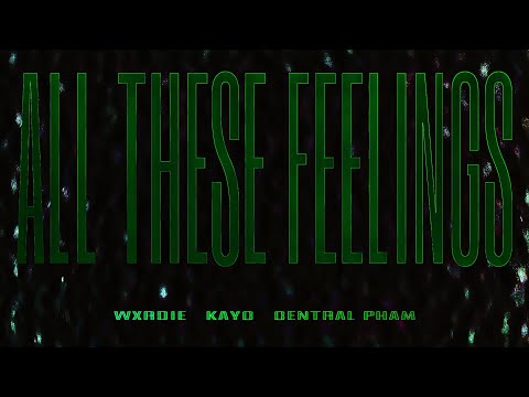 ALL THESE FEELINGS REMIX - Wxrdie & KayC | Official Lyric Video