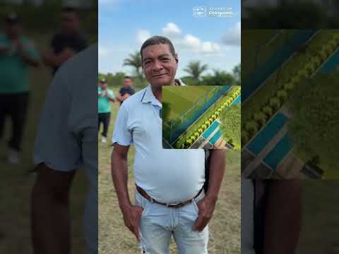 Escenarios recreativo