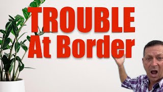US BORDER PATROL Problem! VanLife Mistake You Should Not Make
