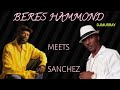 BERES HAMMOND  MEETS SANCHEZ REGGAE MIX 2022 DJ MURRAY