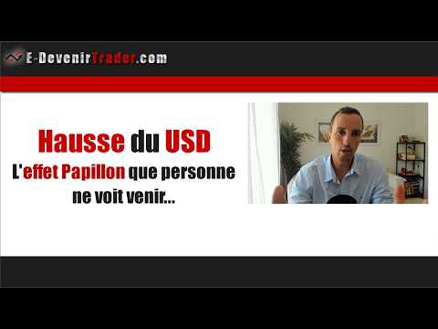 Hausse du USD Effet papillon
