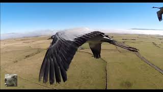 The Perishers - Come Out Of The Shade