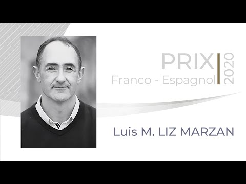 Luis M. LIZ MARZAN : Colloidal Plasmonic Nanomaterials: Synthesis, Assembly and Bioapplications