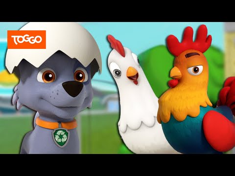 PAW Patrol Deutsch | Henriettas Schlüpftag | Helfer auf vier Pfoten | TOGGO