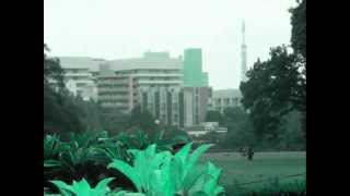 Palomino / Duran Duran