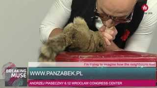 BREAKING MUSE: Mr. Ząbek's charming smile / Czarujący uśmiech Pana Ząbka