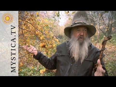 Wolf-Dieter Storl - Die Birke | MYSTICA.TV