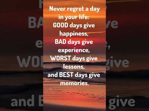 Never Regret a day #shorts #quotes
