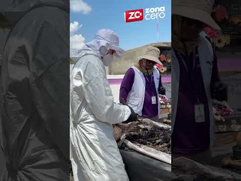 Exhuman 7 cuerpos en cementerio de Luruaco: podrían ser a desaparecidos en el conflicto armado