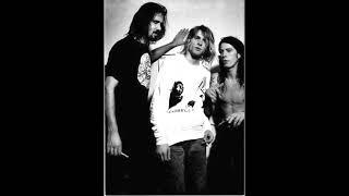 Nirvana~ Color Pictures Of A Marigold  (2/15/93)