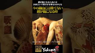桐生が今の錦山に勝てない理由 - 鯉の滝登り #龍が如く極 #桐生一馬  #錦山彰  #刺青