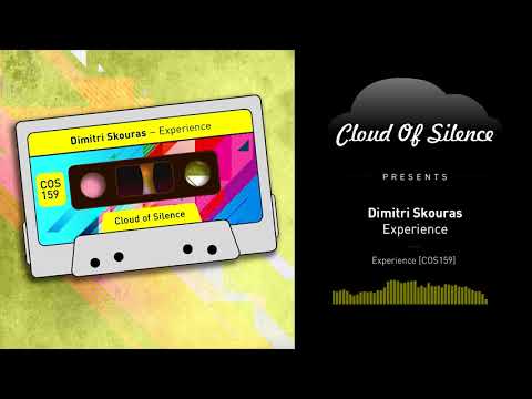 Dimitri Skouras - Experience