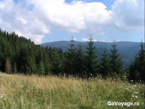 Marcelut Gavriluta- spectacol -live