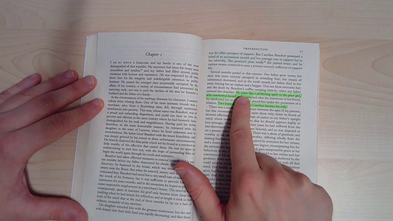 Frankenstein - Letters and Chapter 1