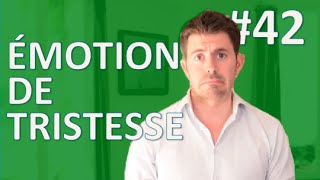 Tristesse - Émotion universelle - 1jour1geste #42