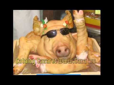 Cazare Stulpicani, Suceava - Cazat.ro