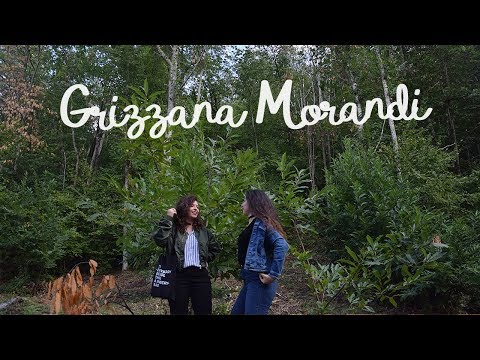 Grizzana morandi (multilingual)