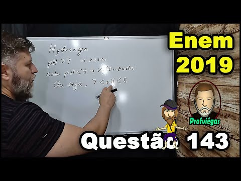 QUESTÃO 143 - ENEM 2019 - PROVA ROSA - PROFESSOR VIÉGAS