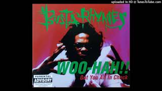 Busta Rhymes Woo-Hah Got You All In Check (DJ Scratch Albany Projects Remix)