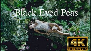 Black Eyed Peas Meet Me Halfway (2009) 4k subtitulado español