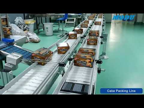 MODU Conveyor - Cake Packing Line
