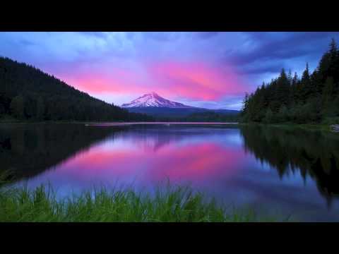 Eric Rigo - Just Noise