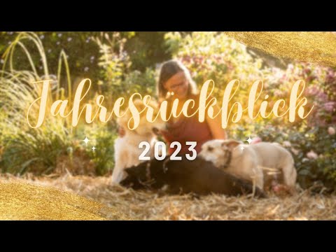 Unser JAHRESRÜCKBLICK 2023