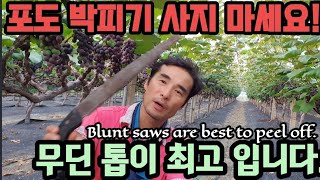 톱 하나면 박피기 필요 없습니다. Blunt saws are best to peel off.