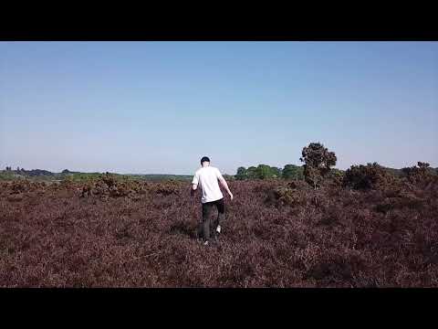 Jolé - Seldom Seen (Official Video)