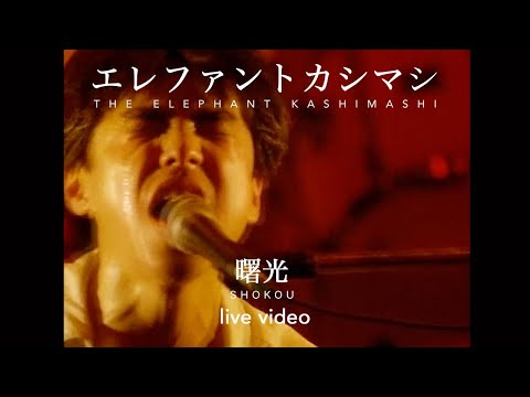 エレファントカシマシ「曙光」(1992.02.29 吉祥寺バウスシアター)
