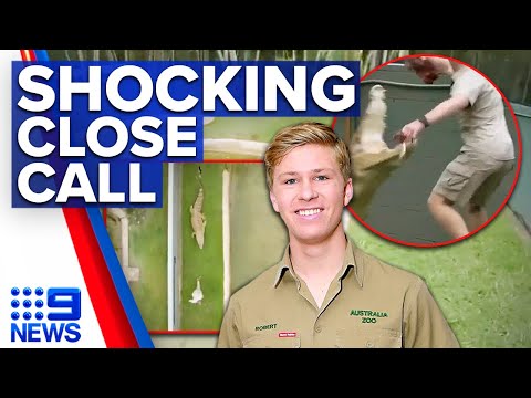 Robert Irwin runs for his life after giant crocodile lunges at him | 9 News Australia