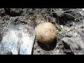 Эхо Кавказской Войны!Коп в Горах Кавказа! Эхо Кавказской Войны!Коп в Горах Кавказа!