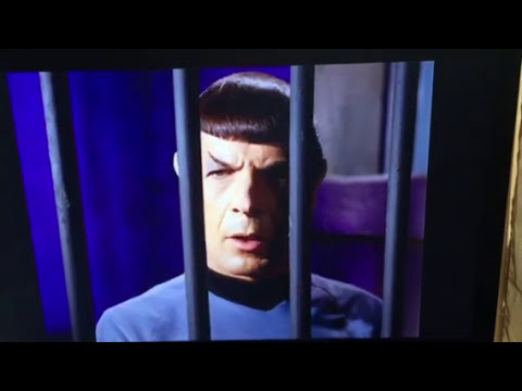 Star Trek- Highly Illogical Captain