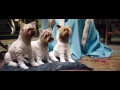 Asterix Obelix God Save Britannia German Trailer 2