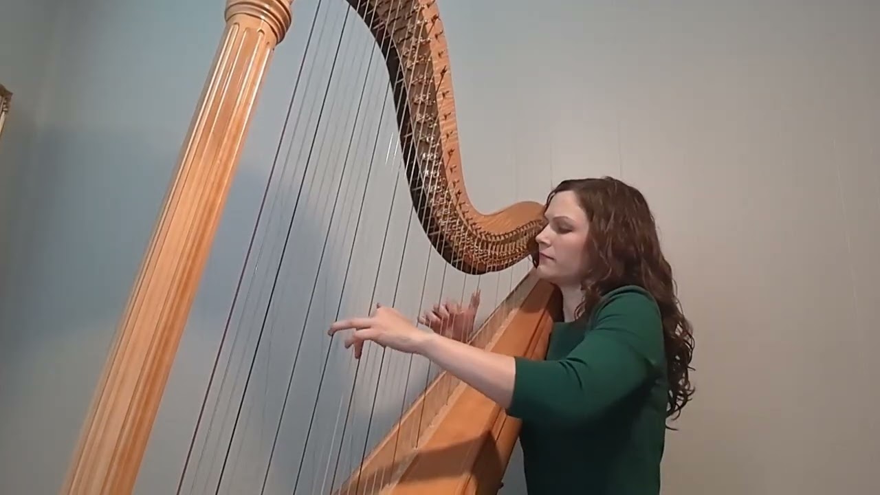 Promotional video thumbnail 4 for Katherine Kappelmann, Houston Harpist