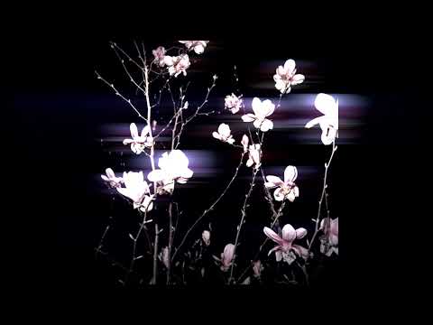 *free for profit* 9tails x guardin x skele x tothegood type beat / "miles"