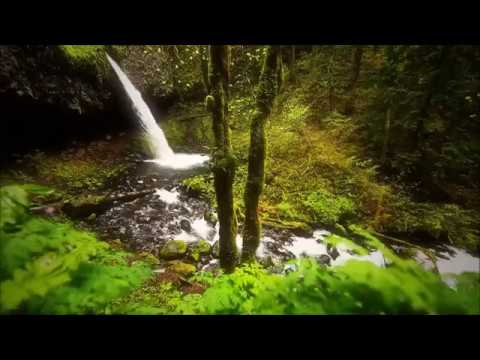 Lukosz & GREEN1 - Chrysalis (Original Mix) [Mistique Emotion]