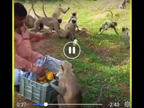 always be kind to animals ❤️