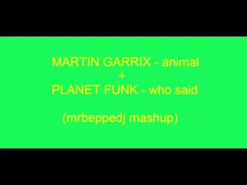 MARTIN GARRIX - animal + PLANET FUNK - who said (mrbeppedj mash up)