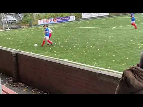 Saestum-Valleivogels