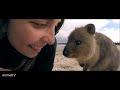 Quokka Solid - Nerūdijančio plieno dvigubas sienelės vakuuminis vandens butelis, nešiojamas termosas 510 ml (Oranžinis Bloom)