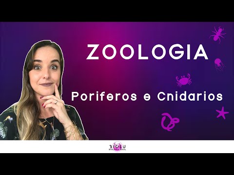 PORIFERA AND CNIDARIANS - ZOOLOGY l Prof. Louise Medeiros